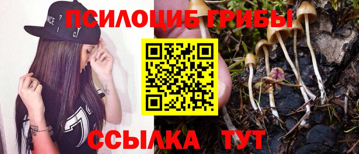Галлюциногенные грибы Cubensis Будённовск