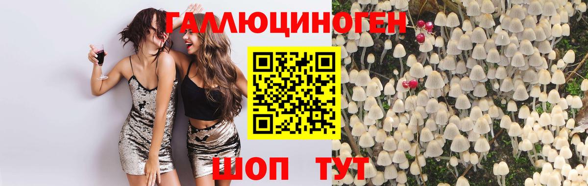 Псилоцибиновые грибы Psilocybe  Будённовск  Псилоцибиновые грибы мухоморы 