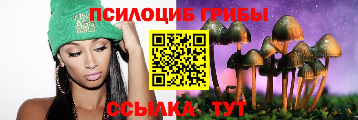 Будённовск  Галлюциногенные грибы MAGIC MUSHROOMS  дарнет шоп  Вход с VPN 
